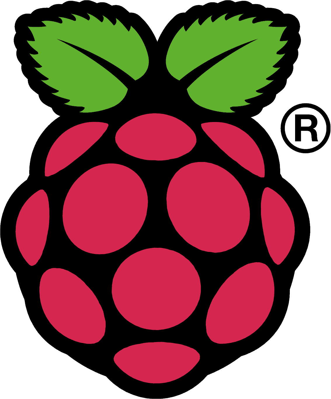 We are serving Raspberry Pi