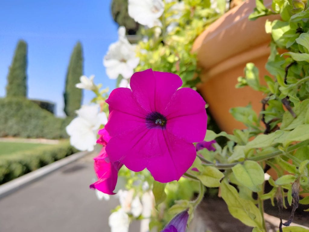 IMG20191019104703