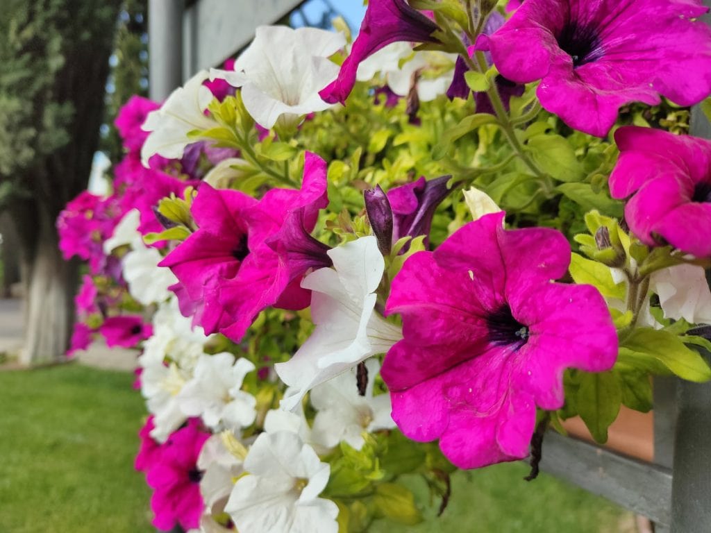 IMG20191019120004