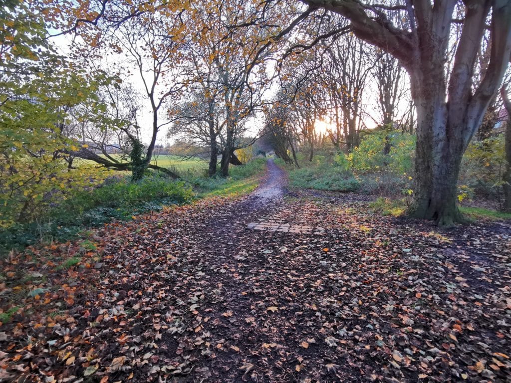 Huawei Nova 5T photos 15
