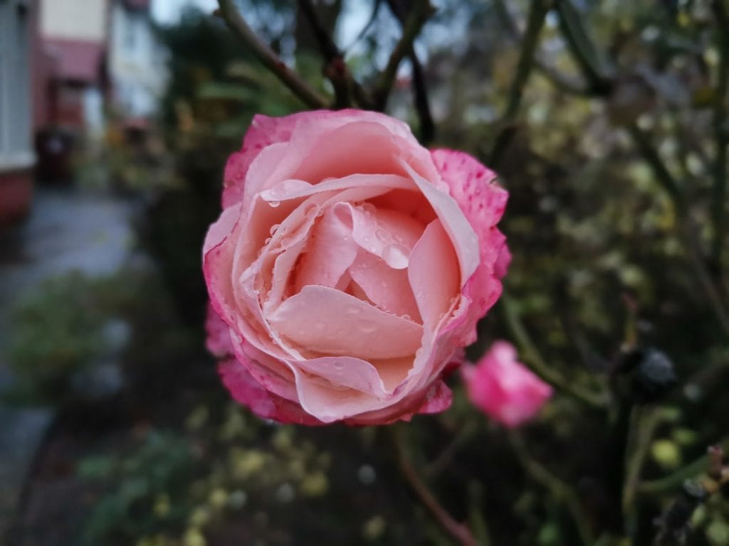 Huawei Nova 5T photos 18