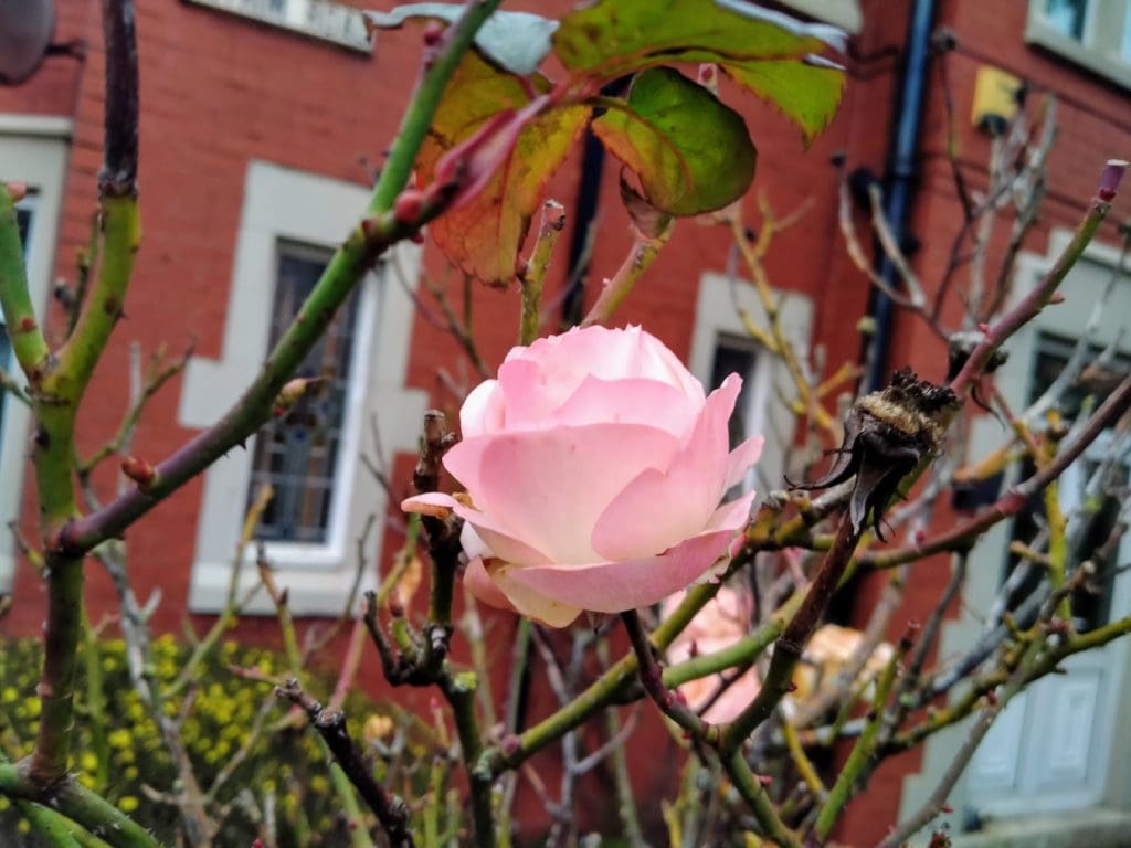Realme5 Photos 1