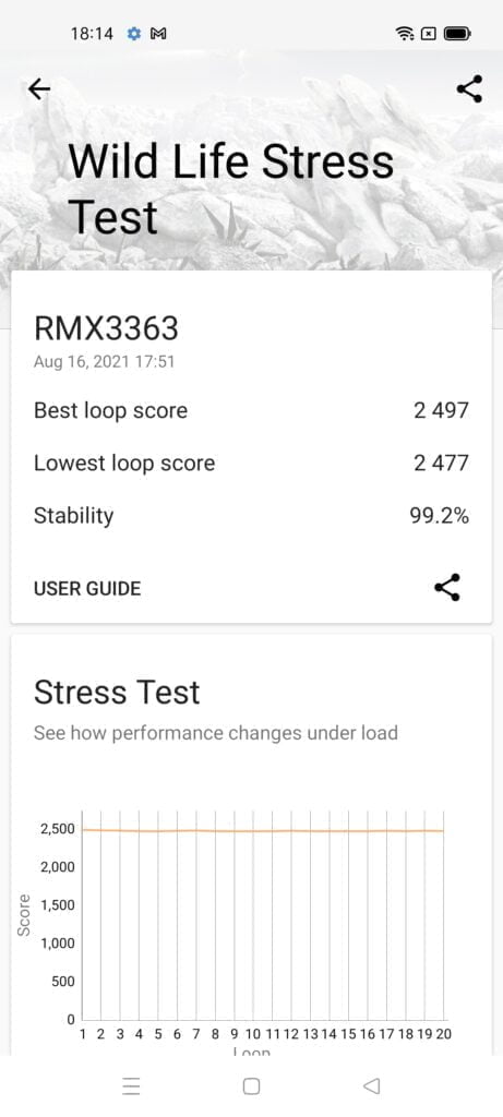 Realme GT Master 3DMark WildLife Stress Test