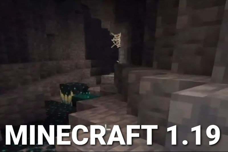 Download minecraft 1.19 Minecraft 1.19