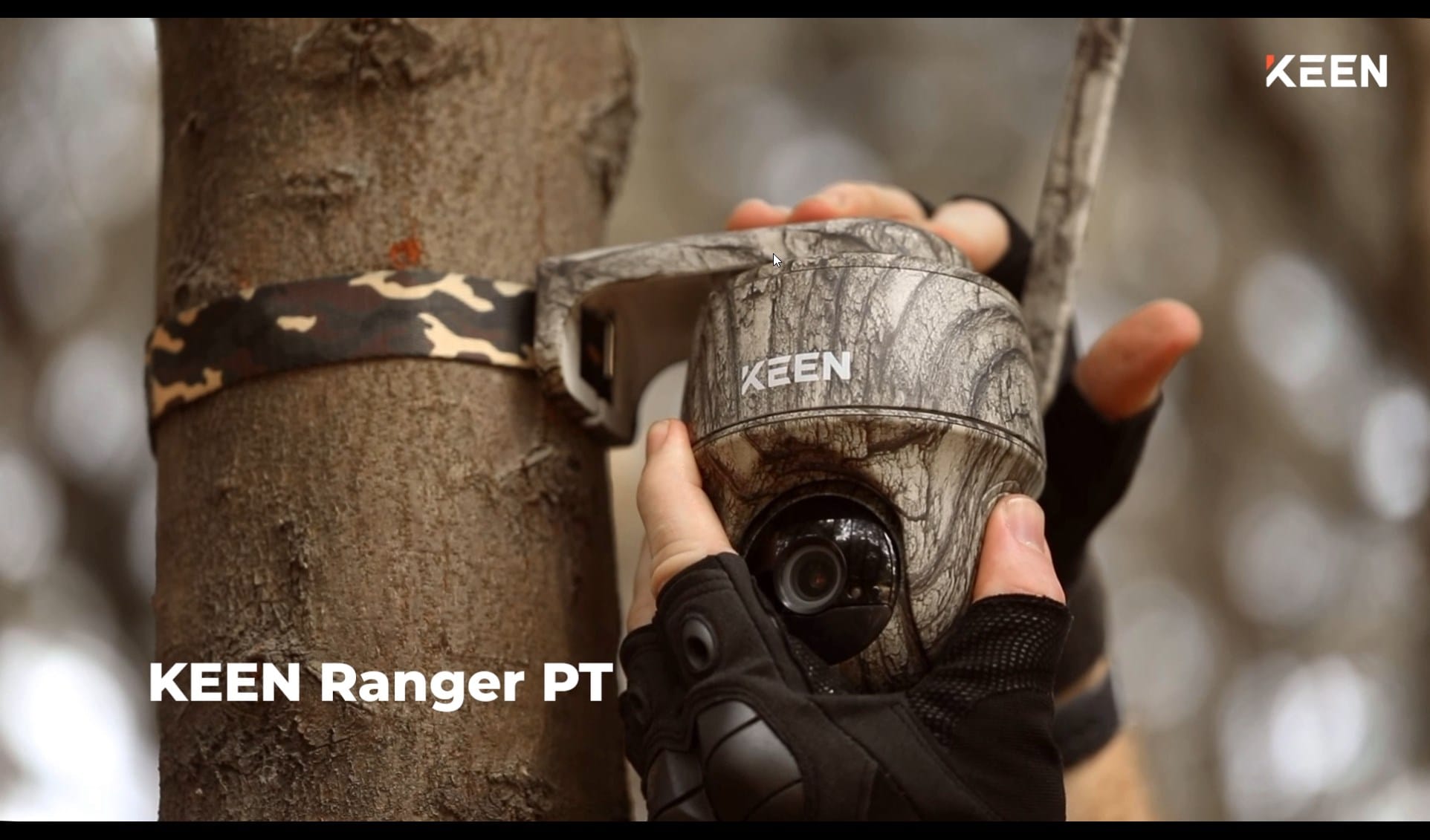 Ranger PT