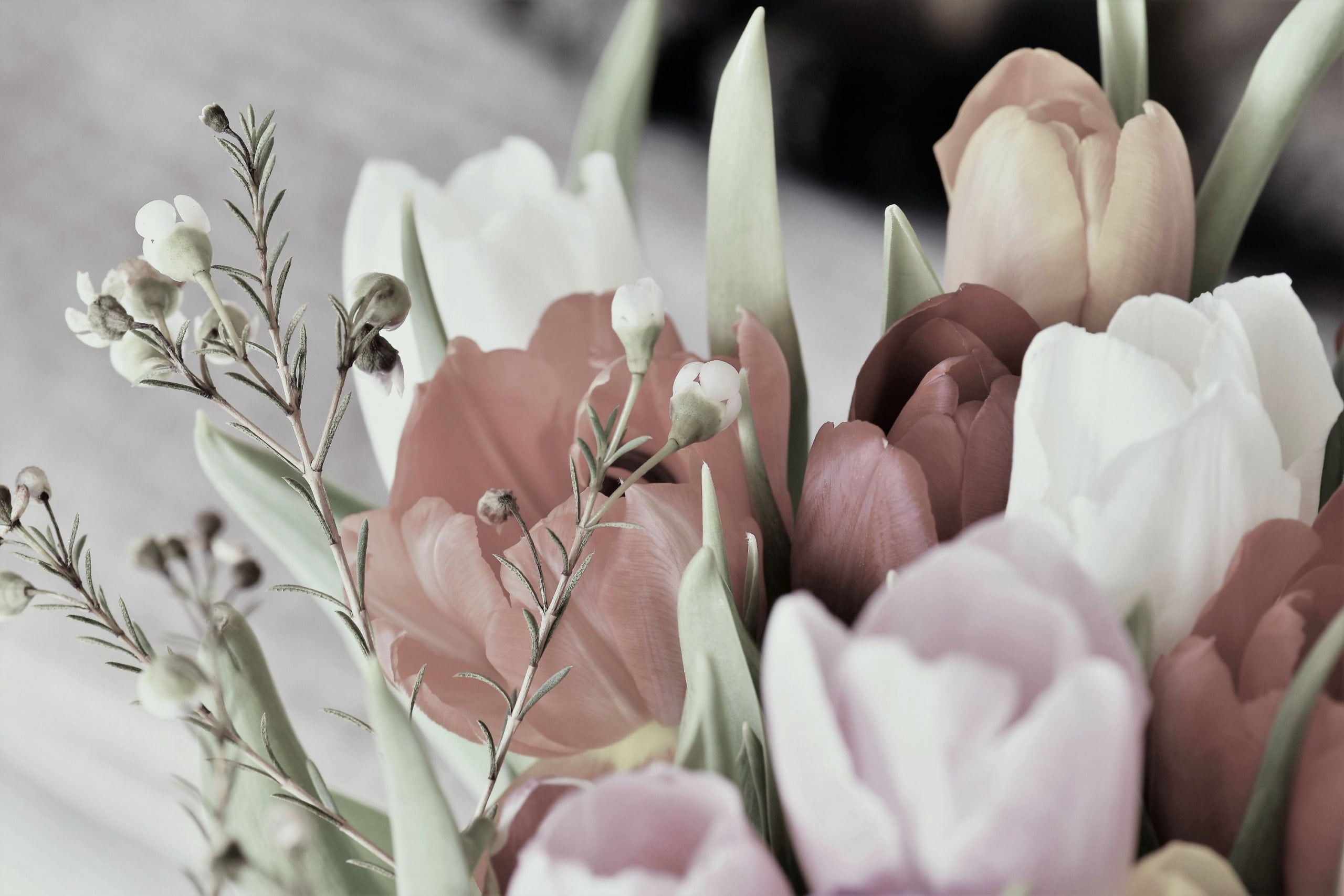 flowers canva scaled