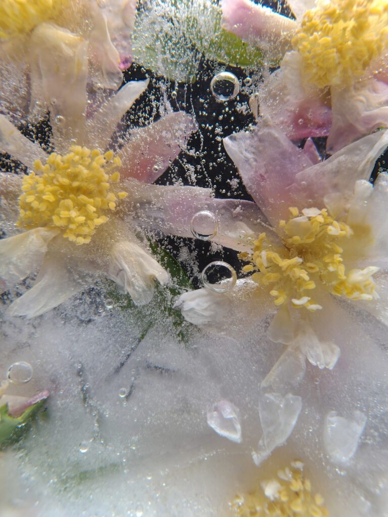 Oppo Underwater Camera samples 1 Oppo Underwater Camera samples 1
