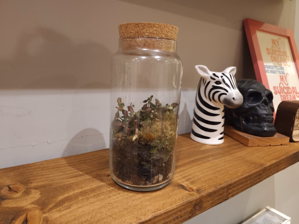 Redmi Note 15 Pro Plus Camera Samples 2 1